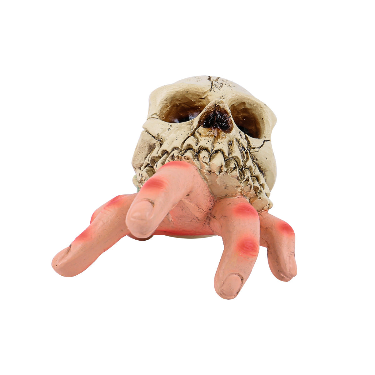 Skull Simulated Hand Figurine
